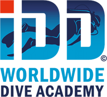 IDD logo